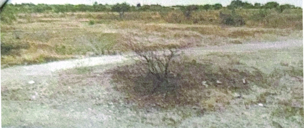 Foto de terreno habitacional en venta en  , loma de los sauces, león, guanajuato, 0 No. 03