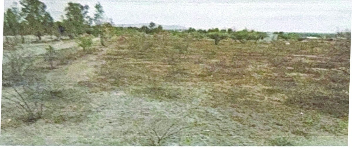 Foto de terreno habitacional en venta en  , loma de los sauces, león, guanajuato, 0 No. 05