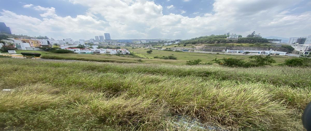 Foto de terreno comercial en venta en loma de pinal de amoles , loma dorada, querétaro, querétaro, 0 No. 04