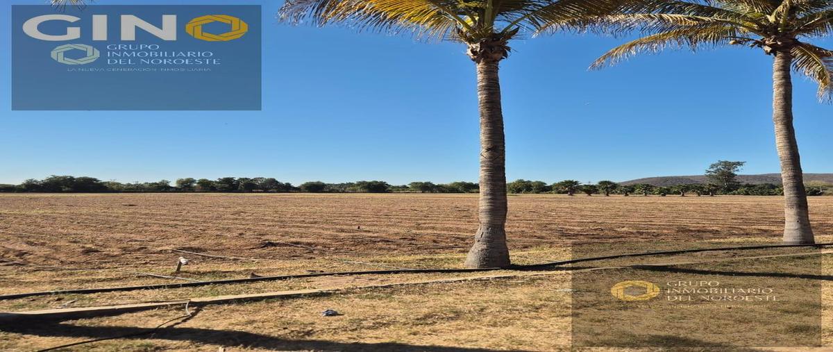 Foto de terreno habitacional en , loma de rodriguera, culiacán, sinaloa, 29303538 foto 02 Foto de terreno habitacional en venta en , loma de rodriguera, culiacán, sinaloa, 29303538 No. 02