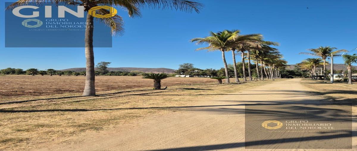Foto de terreno habitacional en , loma de rodriguera, culiacán, sinaloa, 29303538 foto 05 Foto de terreno habitacional en venta en , loma de rodriguera, culiacán, sinaloa, 29303538 No. 05
