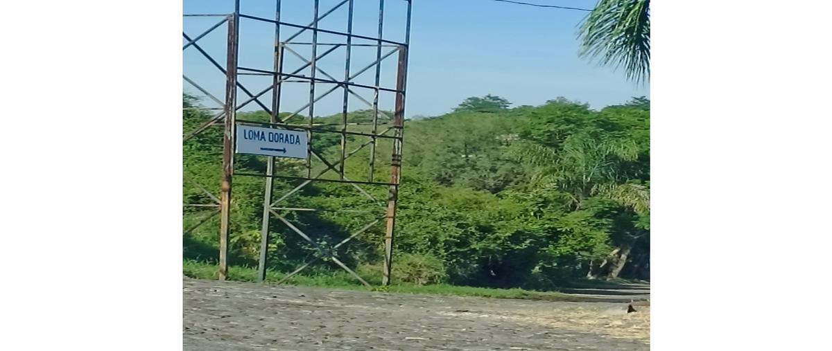 Foto de terreno habitacional en venta en  , loma dorada, sahuayo, michoacán de ocampo, 0 No. 03