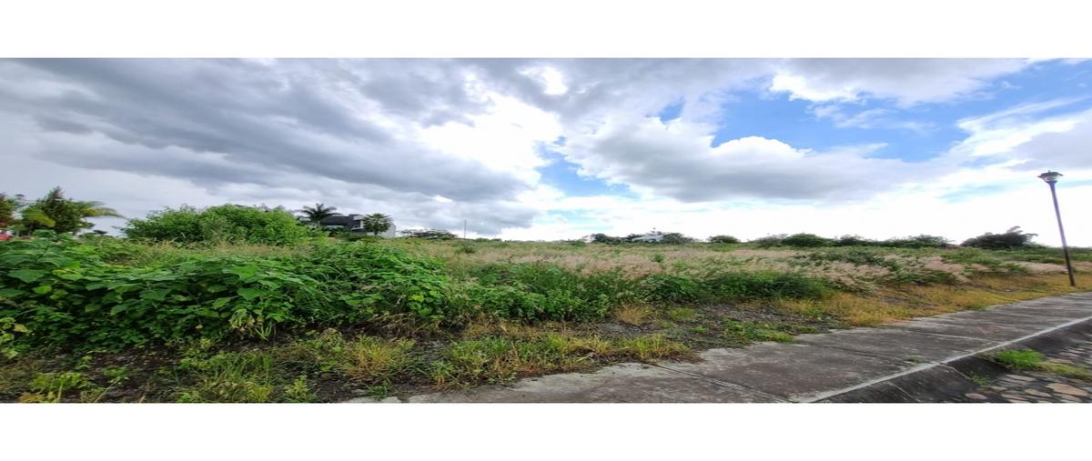 Foto de terreno habitacional en venta en  , loma dorada, sahuayo, michoacán de ocampo, 0 No. 04