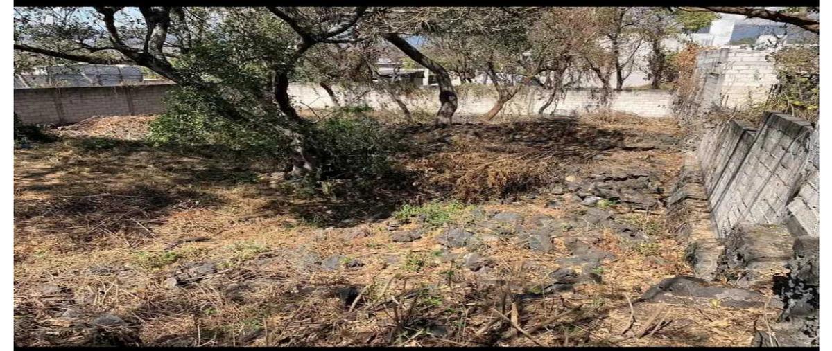 Foto de terreno habitacional en venta en  , loma esmeralda, tepoztlán, morelos, 0 No. 02