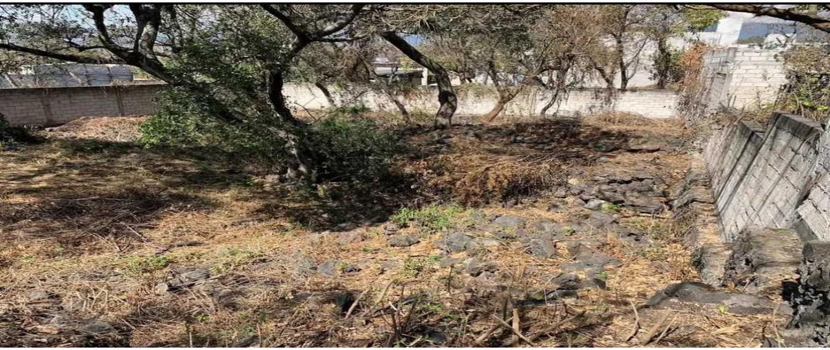 Foto de terreno habitacional en venta en  , loma esmeralda, tepoztlán, morelos, 0 No. 03