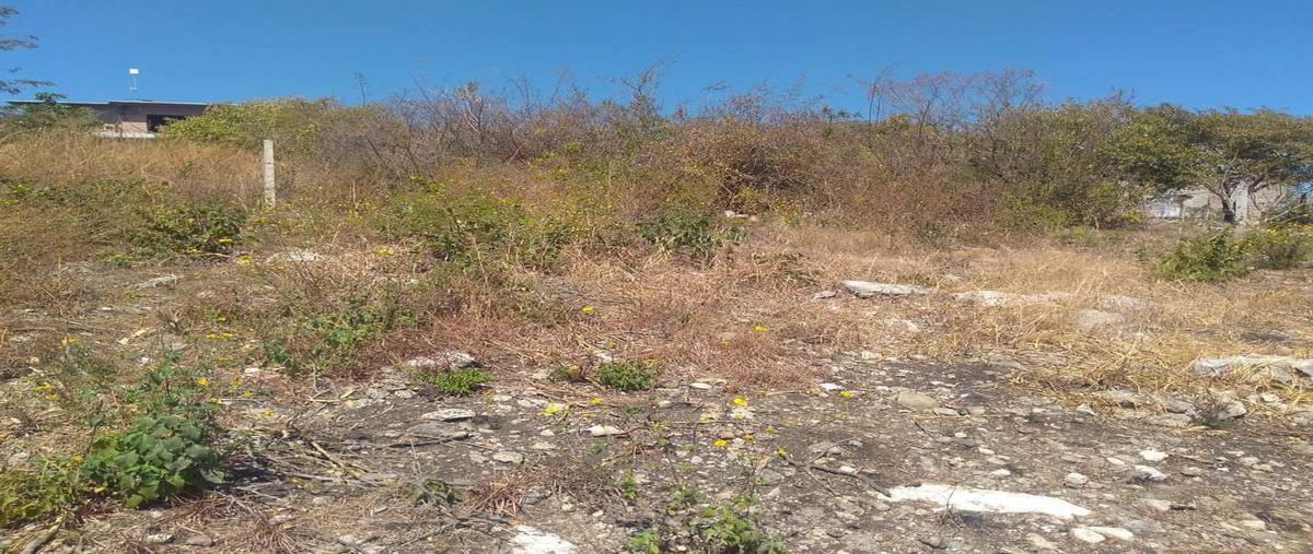 Foto de terreno habitacional en venta en  , loma larga, tuxtla gutiérrez, chiapas, 0 No. 03
