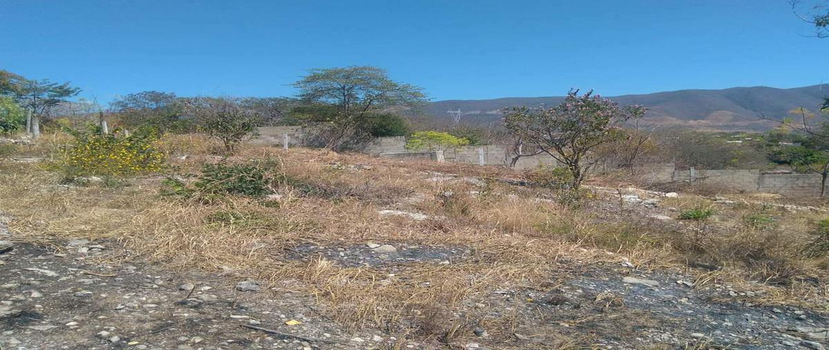 Foto de terreno habitacional en venta en  , loma larga, tuxtla gutiérrez, chiapas, 0 No. 05