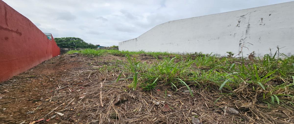 Foto de terreno habitacional en venta en  , loma linda, centro, tabasco, 27275332 No. 03