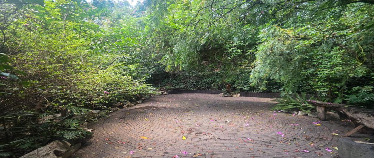 Foto de departamento en renta en loma linda , lomas de vista hermosa, cuajimalpa de morelos, df / cdmx, 31435733 No. 03