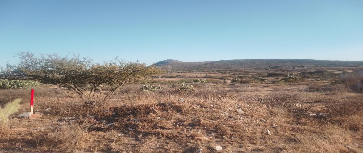 Foto de terreno habitacional en venta en  , loma linda, san juan del río, querétaro, 27710189 No. 03