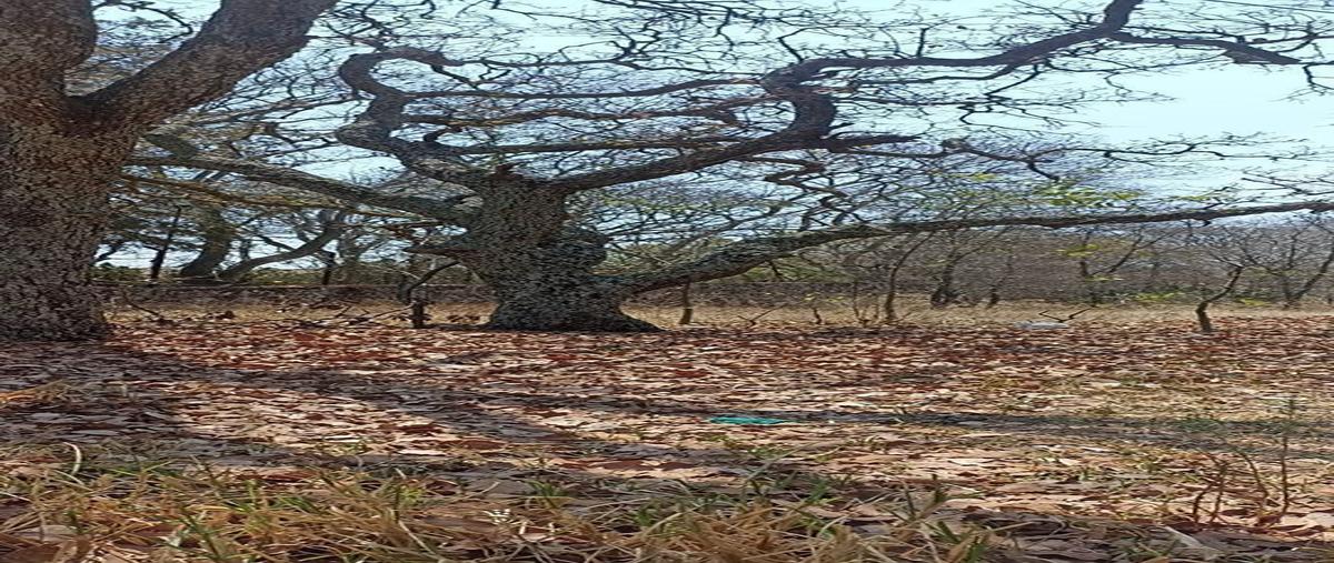 Foto de terreno habitacional en venta en loma lupita , las cabañas, tepotzotlán, méxico, 27359791 No. 05