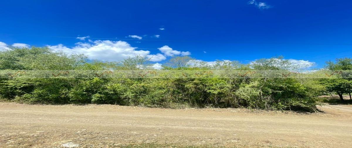 Foto de terreno habitacional en venta en loma prieta , loma prieta, montemorelos, nuevo león, 25837500 No. 03