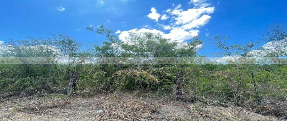 Foto de terreno habitacional en venta en loma prieta , loma prieta, montemorelos, nuevo león, 25837500 No. 04