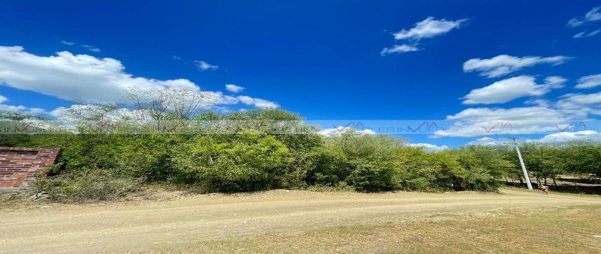 Foto de terreno habitacional en venta en loma prieta , loma prieta, montemorelos, nuevo león, 25837500 No. 05