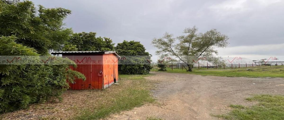 Foto de local en renta en loma prieta , loma prieta, montemorelos, nuevo león, 30391866 No. 05