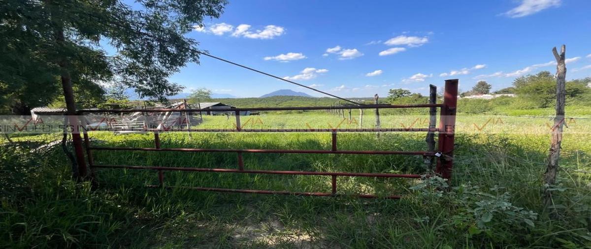 Foto de terreno habitacional en loma prieta , loma prieta, montemorelos, nuevo león, 30413222 foto 03 Foto de terreno habitacional en venta en loma prieta , loma prieta, montemorelos, nuevo león, 30413222 No. 03
