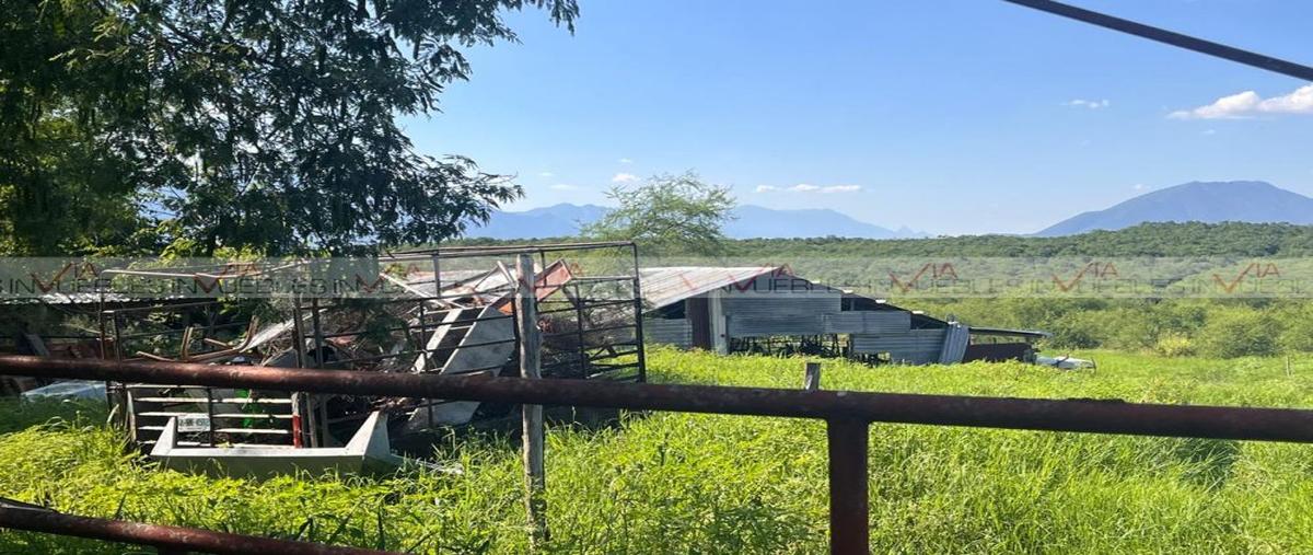 Foto de terreno habitacional en loma prieta , loma prieta, montemorelos, nuevo león, 30413222 foto 04 Foto de terreno habitacional en venta en loma prieta , loma prieta, montemorelos, nuevo león, 30413222 No. 04