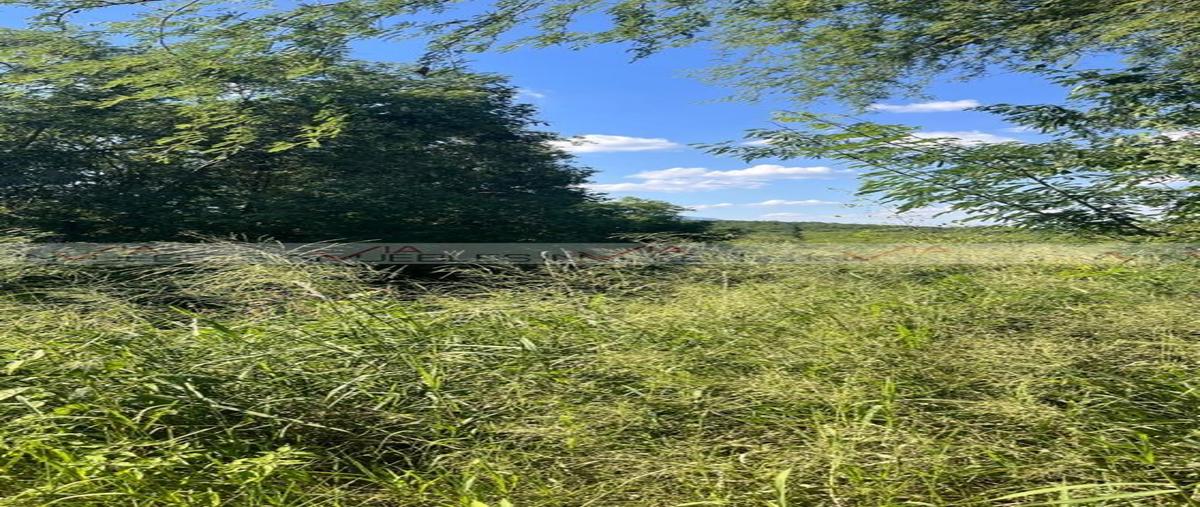 Foto de terreno habitacional en loma prieta , loma prieta, montemorelos, nuevo león, 30413222 foto 05 Foto de terreno habitacional en venta en loma prieta , loma prieta, montemorelos, nuevo león, 30413222 No. 05