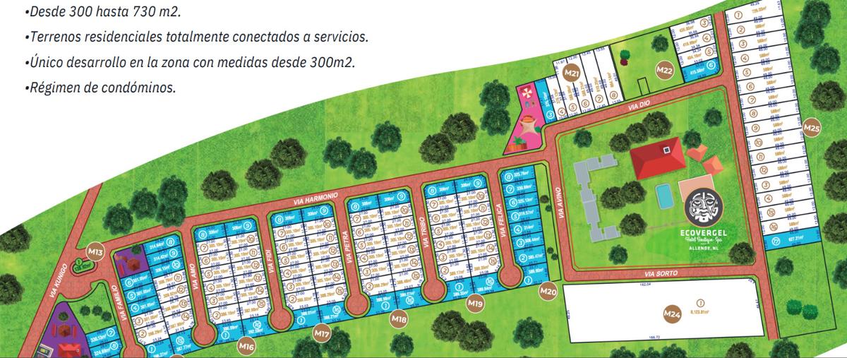 Foto de terreno habitacional en venta en  , loma prieta, montemorelos, nuevo león, 29223267 No. 04