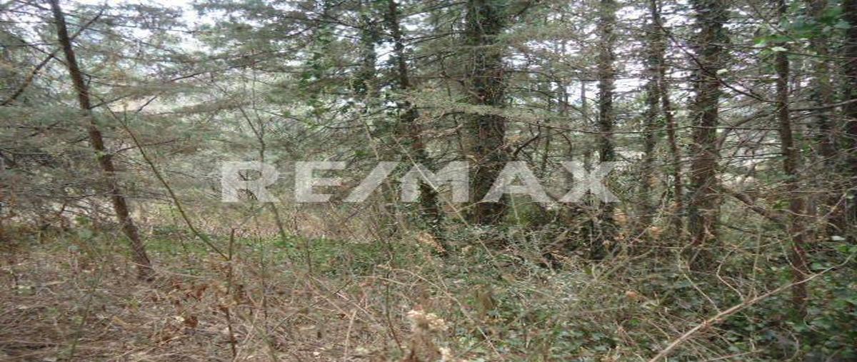 Foto de terreno habitacional en venta en loma tlalmimilolpa , san mateo tlaltenango, cuajimalpa de morelos, df / cdmx, 2125230 No. 03