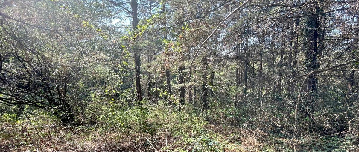 Foto de terreno habitacional en venta en loma tlalmimilolpa , san mateo tlaltenango, cuajimalpa de morelos, df / cdmx, 28861505 No. 02