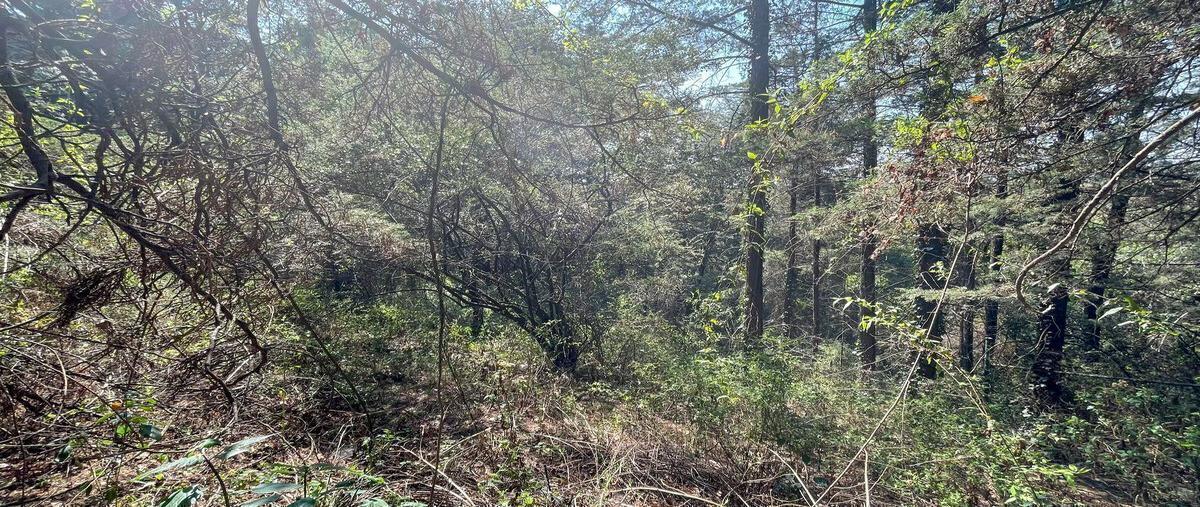 Foto de terreno habitacional en venta en loma tlalmimilolpa , san mateo tlaltenango, cuajimalpa de morelos, df / cdmx, 28861505 No. 04