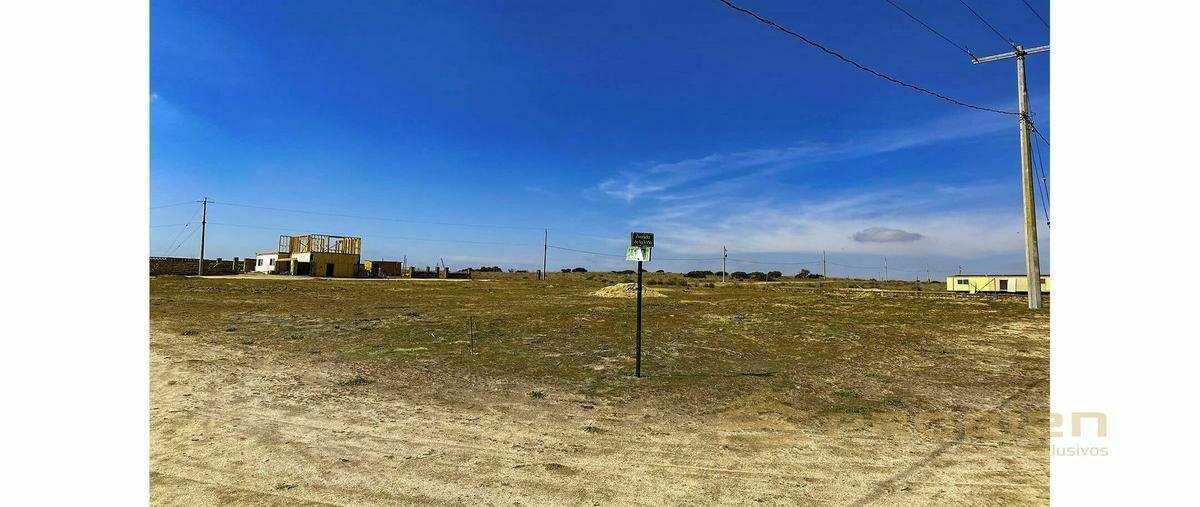 Foto de terreno habitacional en venta en  , loma tova, tecate, baja california, 20267163 No. 04