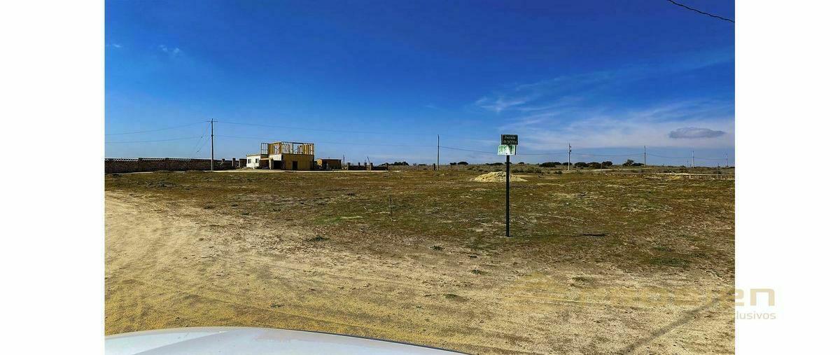 Foto de terreno habitacional en venta en  , loma tova, tecate, baja california, 20267163 No. 05