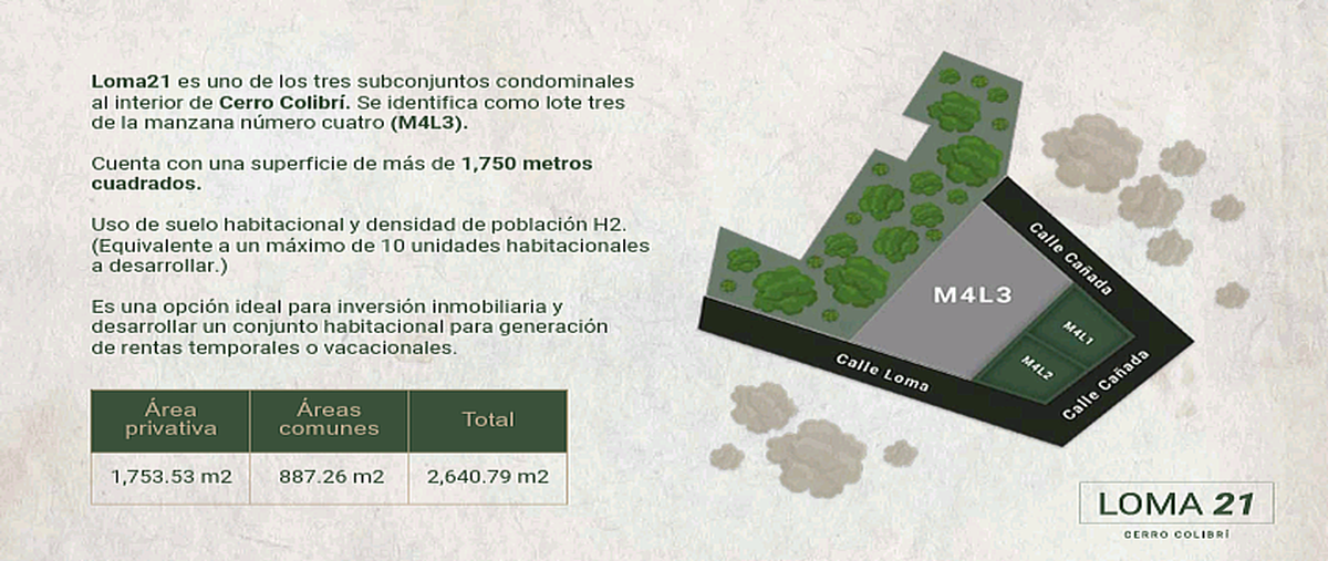 Foto de terreno habitacional en venta en loma , vista hermosa, san cristóbal de las casas, chiapas, 0 No. 05