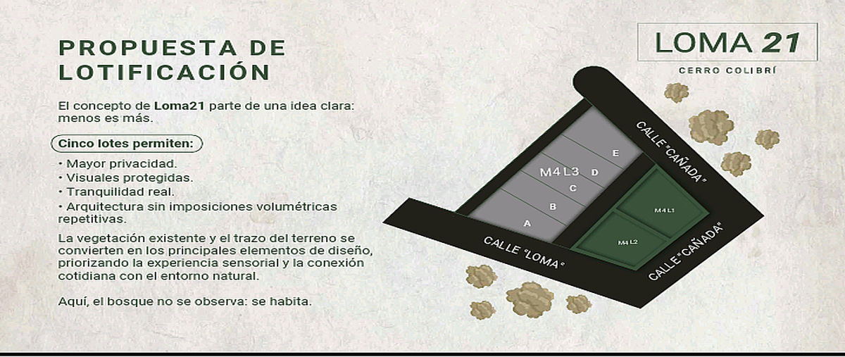 Foto de terreno habitacional en venta en loma , vista hermosa, san cristóbal de las casas, chiapas, 0 No. 04
