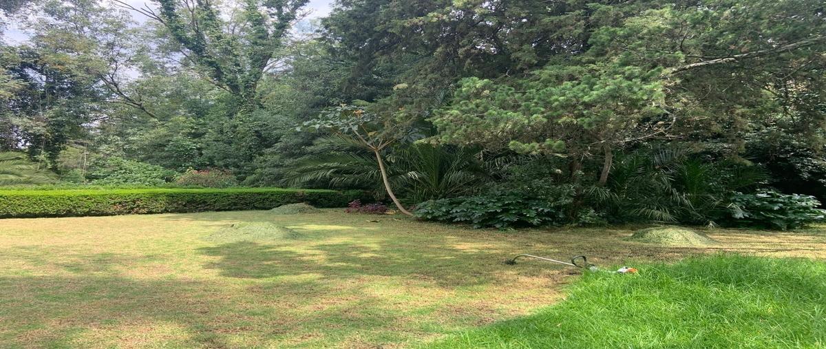 Foto de terreno habitacional en venta en  , lomas altas, miguel hidalgo, df / cdmx, 27338672 No. 04