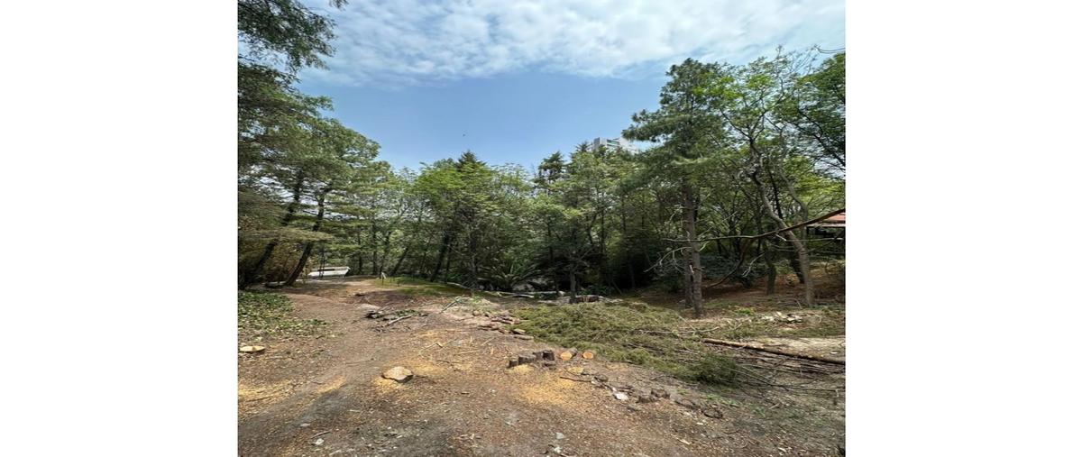 Foto de terreno habitacional en venta en  , lomas club de golf, puebla, puebla, 0 No. 03