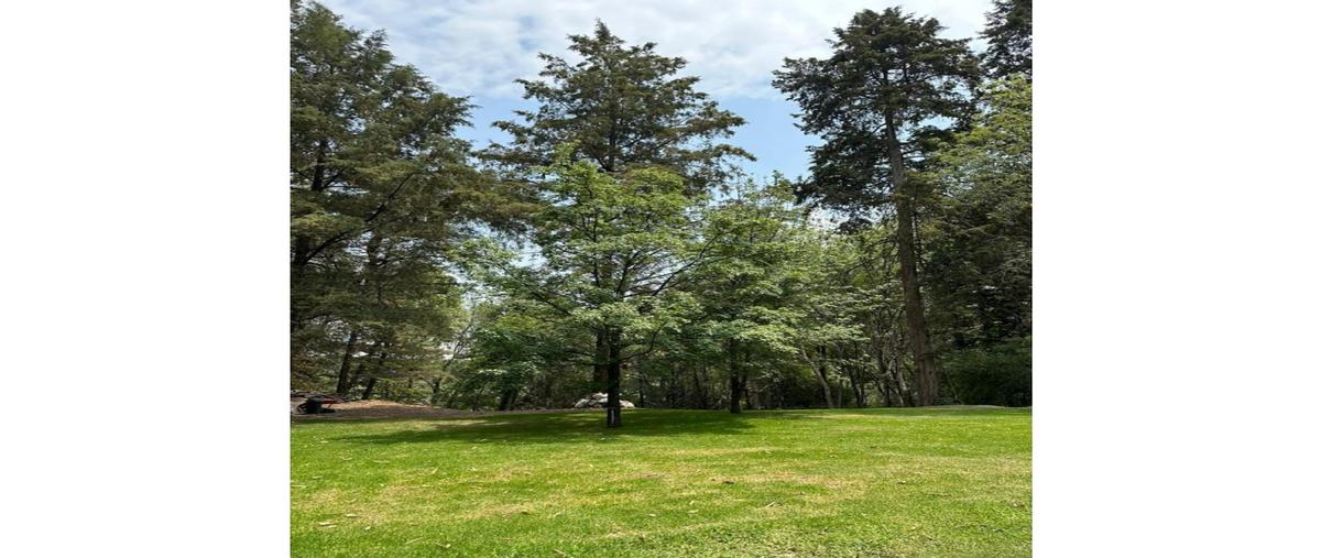 Foto de terreno habitacional en venta en  , lomas club de golf, puebla, puebla, 0 No. 05