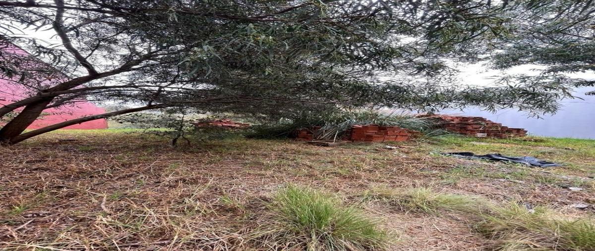 Foto de terreno habitacional en venta en  , lomas country club, huixquilucan, méxico, 30960862 No. 04