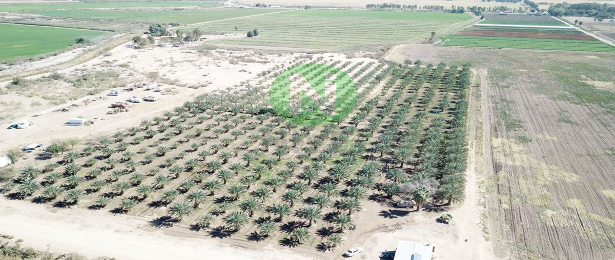 Foto de terreno habitacional en venta en  , lomas de abasolo, mexicali, baja california, 24484311 No. 03