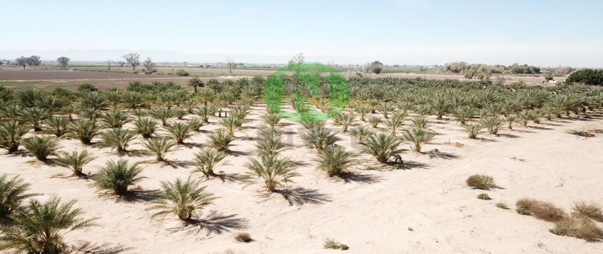 Foto de terreno habitacional en venta en  , lomas de abasolo, mexicali, baja california, 24484311 No. 04