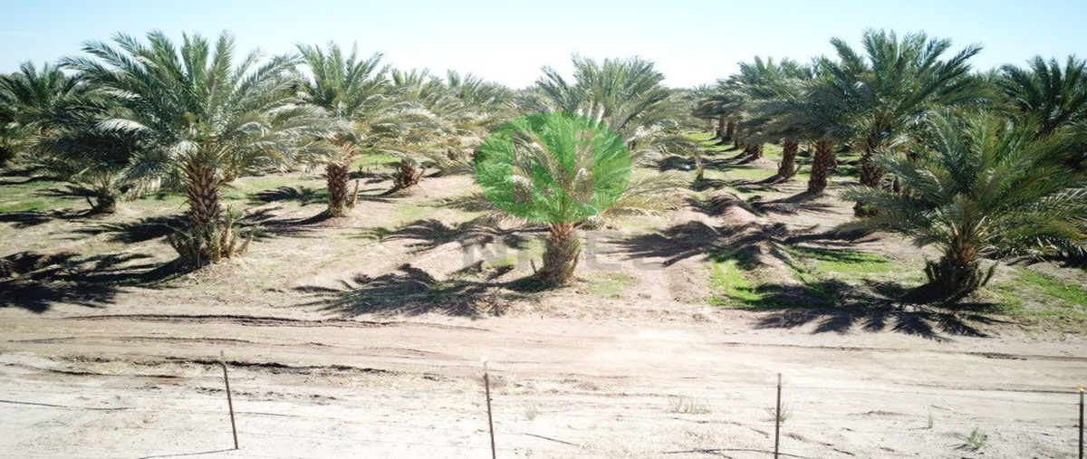 Foto de terreno habitacional en venta en  , lomas de abasolo, mexicali, baja california, 24484311 No. 05