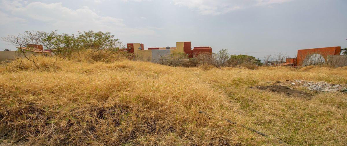 Foto de terreno habitacional en venta en  , lomas de ahuatlán, cuernavaca, morelos, 0 No. 05
