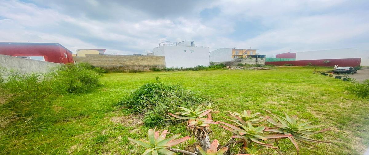 Foto de terreno habitacional en venta en  , lomas de ahuatlán, cuernavaca, morelos, 29907359 No. 05