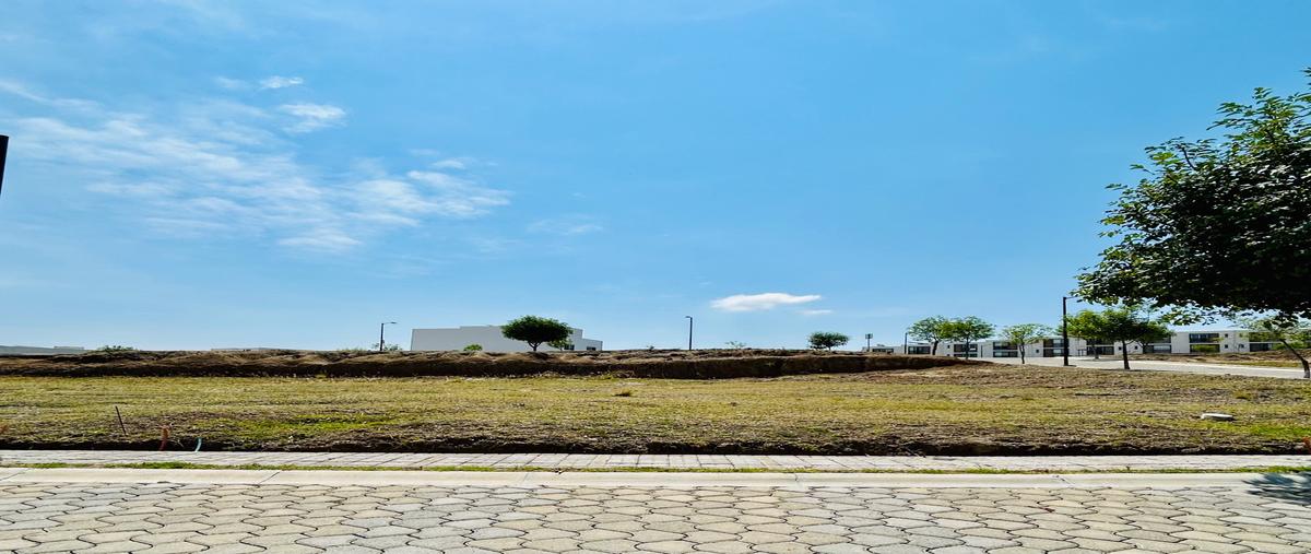 Foto de terreno habitacional en venta en  , lomas de angelópolis, san andrés cholula, puebla, 31148965 No. 04