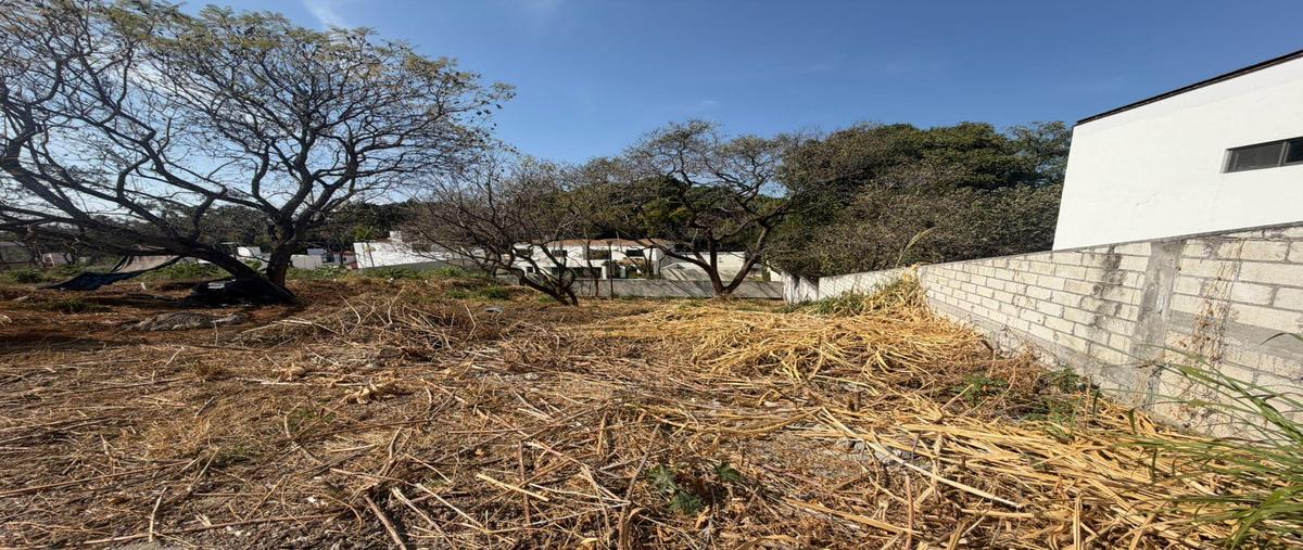 Foto de terreno habitacional en venta en  , lomas de atzingo, cuernavaca, morelos, 31076603 No. 03