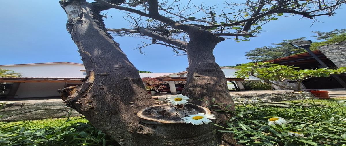 Foto de casa en condominio en venta en  , lomas de atzingo, cuernavaca, morelos, 0 No. 04