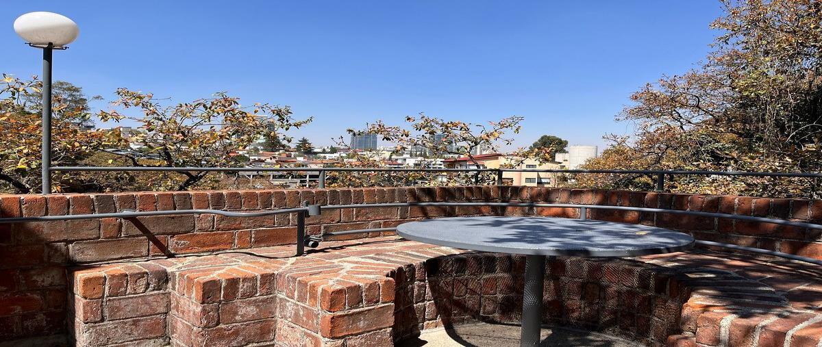 Foto de casa en venta en  , lomas de bezares, miguel hidalgo, df / cdmx, 25224234 No. 04