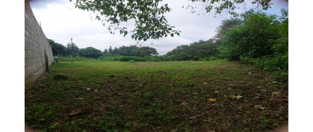 Foto de terreno habitacional en venta en  , lomas de chamilpa 2a secc., cuernavaca, morelos, 0 No. 03