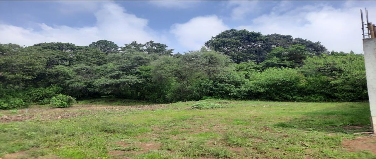 Foto de terreno habitacional en venta en  , lomas de chamilpa 2a secc., cuernavaca, morelos, 0 No. 04