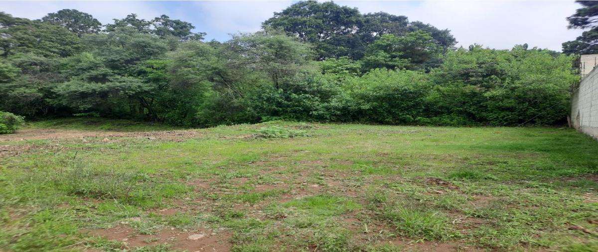 Foto de terreno habitacional en venta en  , lomas de chamilpa 2a secc., cuernavaca, morelos, 0 No. 05