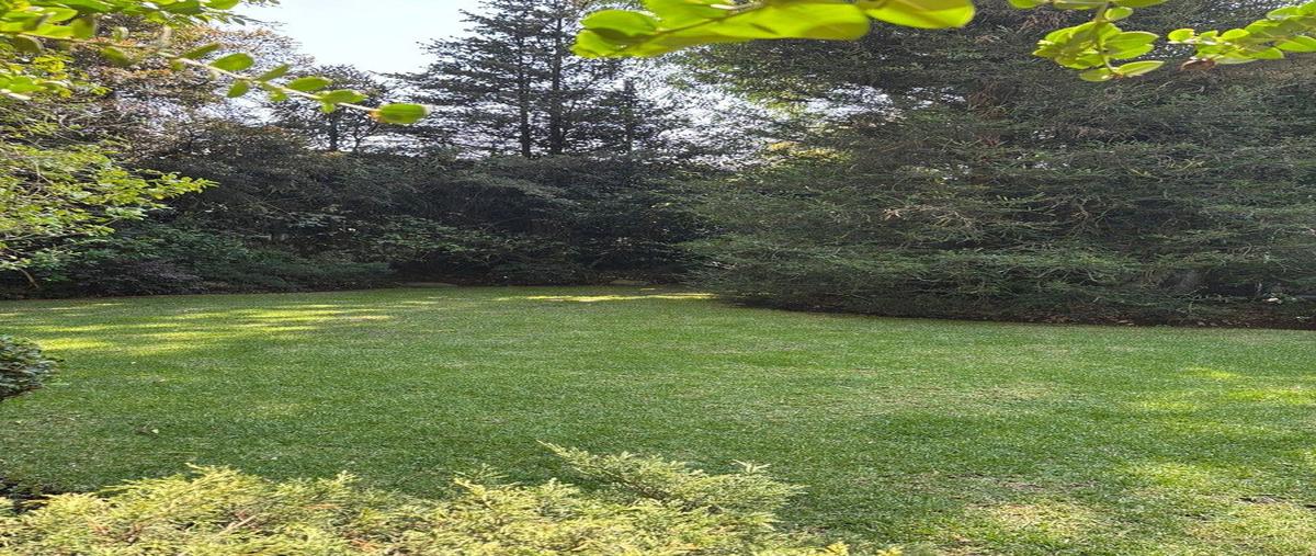 Foto de casa en venta en lomas de chapultepec , bosque de las lomas, miguel hidalgo, df / cdmx, 30851449 No. 05