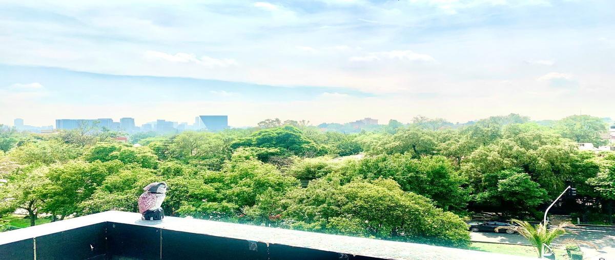 Foto de local en , lomas de chapultepec i sección, miguel hidalgo, df / cdmx, 25337035 foto 05 Foto de local en renta en , lomas de chapultepec i sección, miguel hidalgo, df / cdmx, 25337035 No. 05