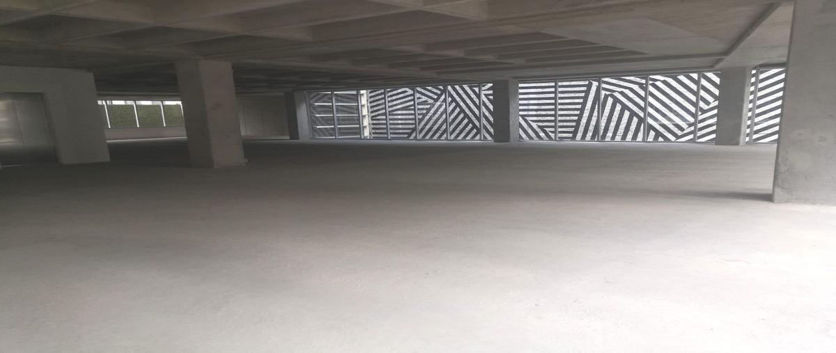 Foto de oficina en renta en  , lomas de chapultepec i sección, miguel hidalgo, df / cdmx, 25433068 No. 05