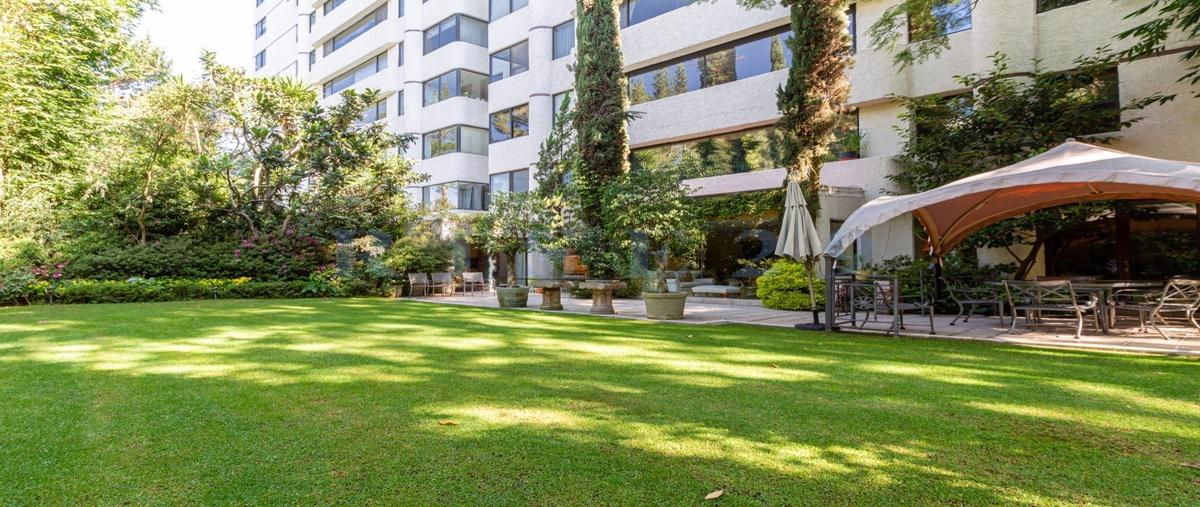 Foto de departamento en , lomas de chapultepec i sección, miguel hidalgo, df / cdmx, 25847155 foto 05 Foto de departamento en venta en , lomas de chapultepec i sección, miguel hidalgo, df / cdmx, 25847155 No. 05